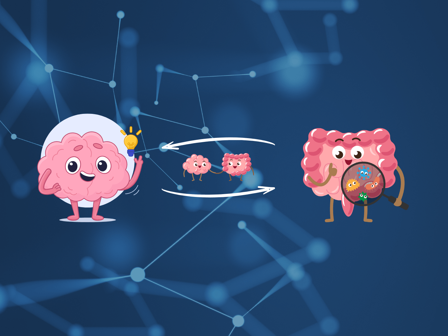 gut brain connection