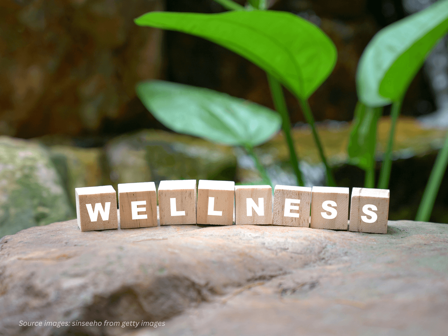 ubud wellness