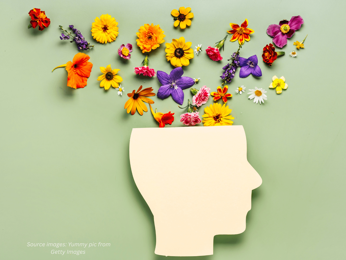Beyond Coping How Integrated Wellness Builds True Resilience
